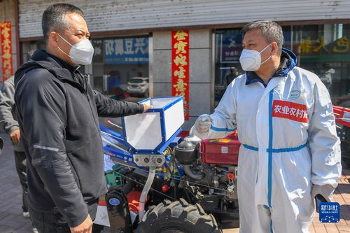 中国经济十问 洞悉挑战与机遇，把握发展脉搏