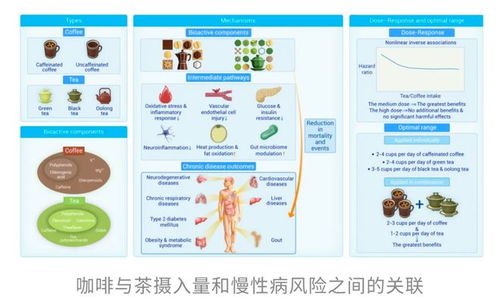 咖啡与茶再添“续命”实锤 哈佛研究揭示健康长寿的秘密
