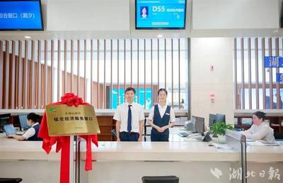 光谷开设全国首个低空经济服务窗口 降本增效的新引擎