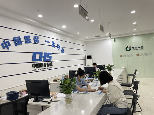 跨越 服务国家战略 护航民生福祉 保险为经济社会筑牢保障网